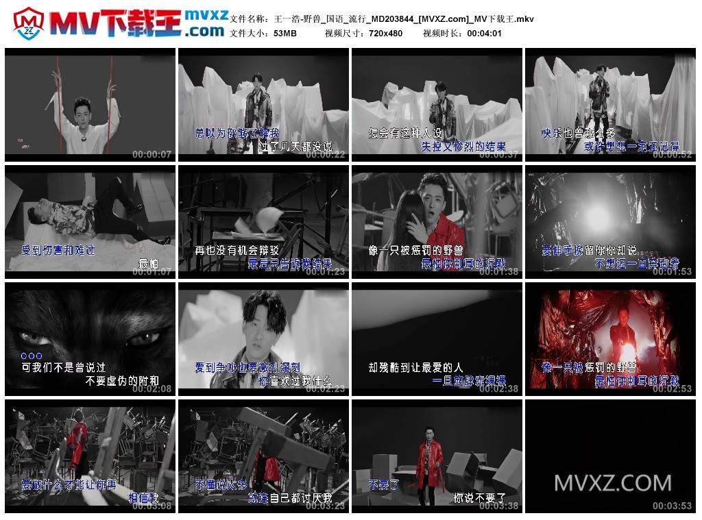 王一浩-野兽_国语_流行_MD203844